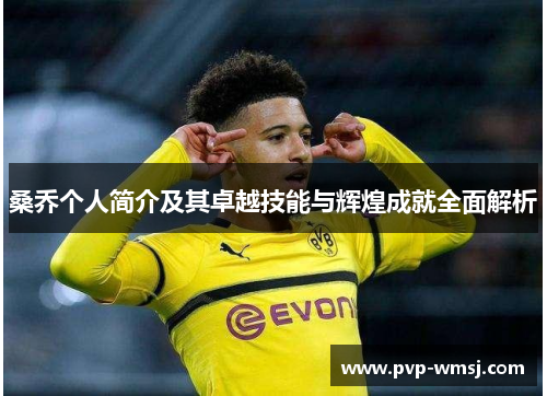 桑乔个人简介及其卓越技能与辉煌成就全面解析