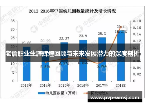 老詹职业生涯辉煌回顾与未来发展潜力的深度剖析