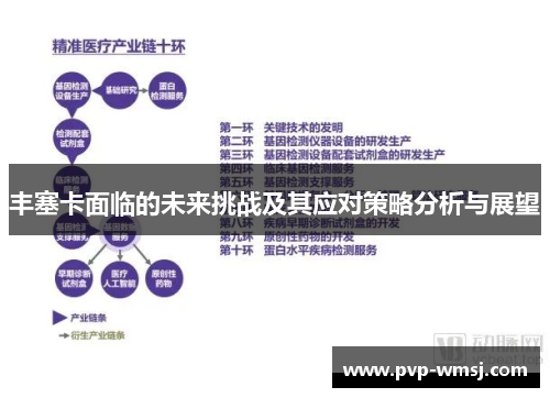 丰塞卡面临的未来挑战及其应对策略分析与展望