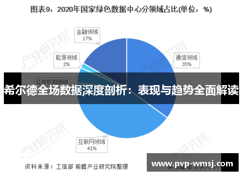 希尔德全场数据深度剖析：表现与趋势全面解读