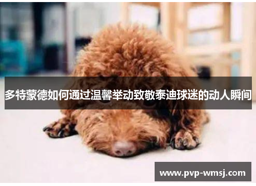 多特蒙德如何通过温馨举动致敬泰迪球迷的动人瞬间